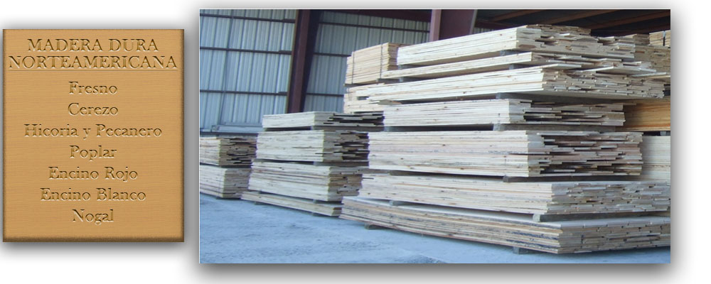 Madera Dura