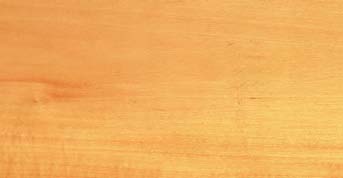 Basswood