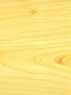 Hard Maple