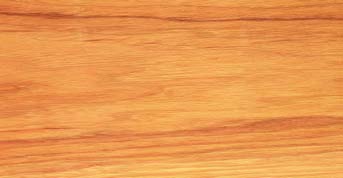 Hickory